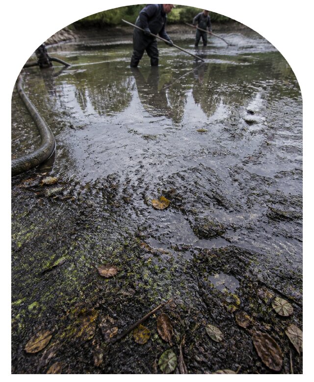 Очистка пруда в Люберцах от ила мусора и водорослей с вывозом